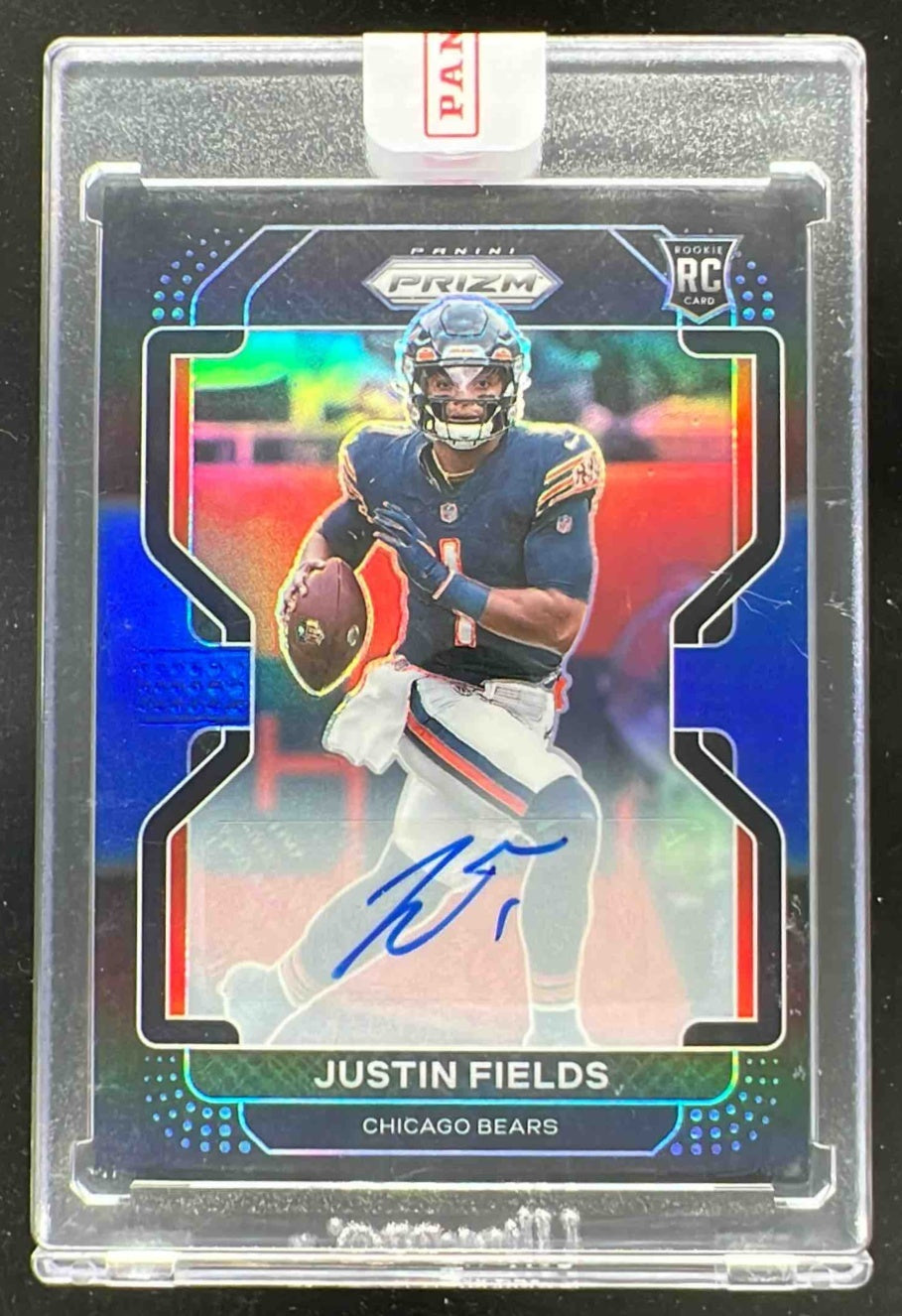 Ruby BlackCerberus&Ratty Bear2点セット Ruby Star Society Teddy And The Bears Light Berry - Quilt Fabric