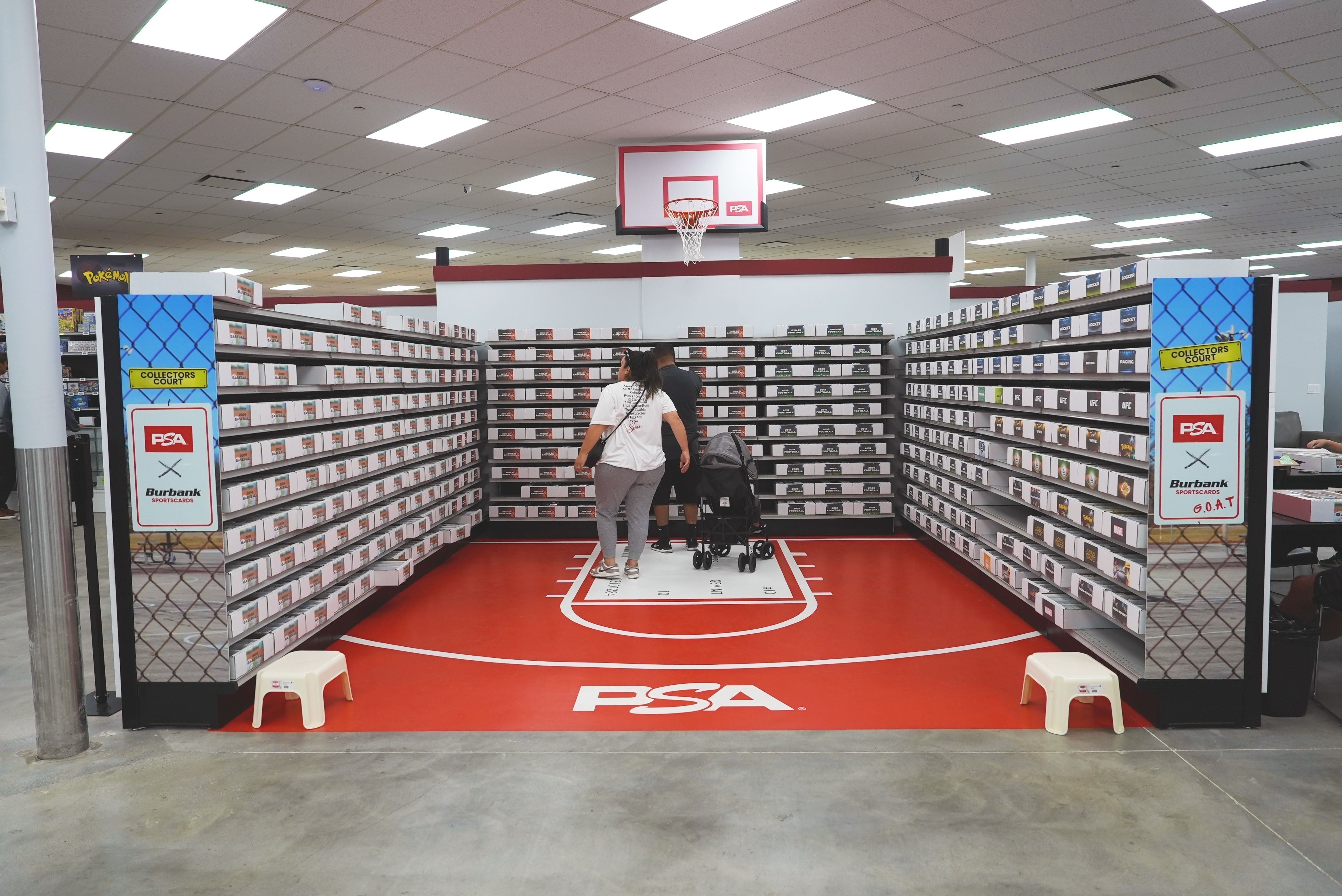 Get to Know the Collector's Court!