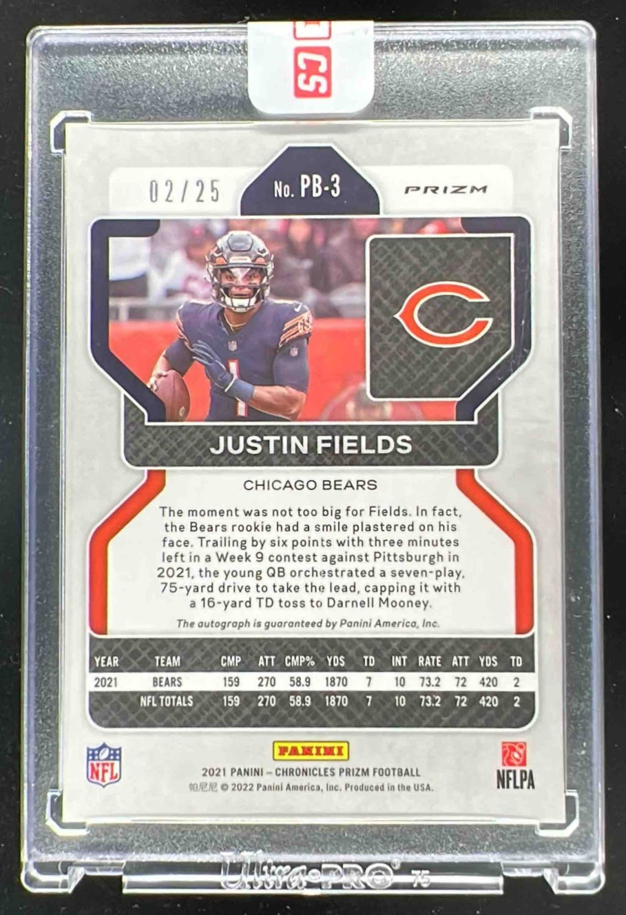 Ruby BlackCerberus&Ratty Bear2点セット Ruby Star Society Teddy And The Bears Light Berry - Quilt Fabric