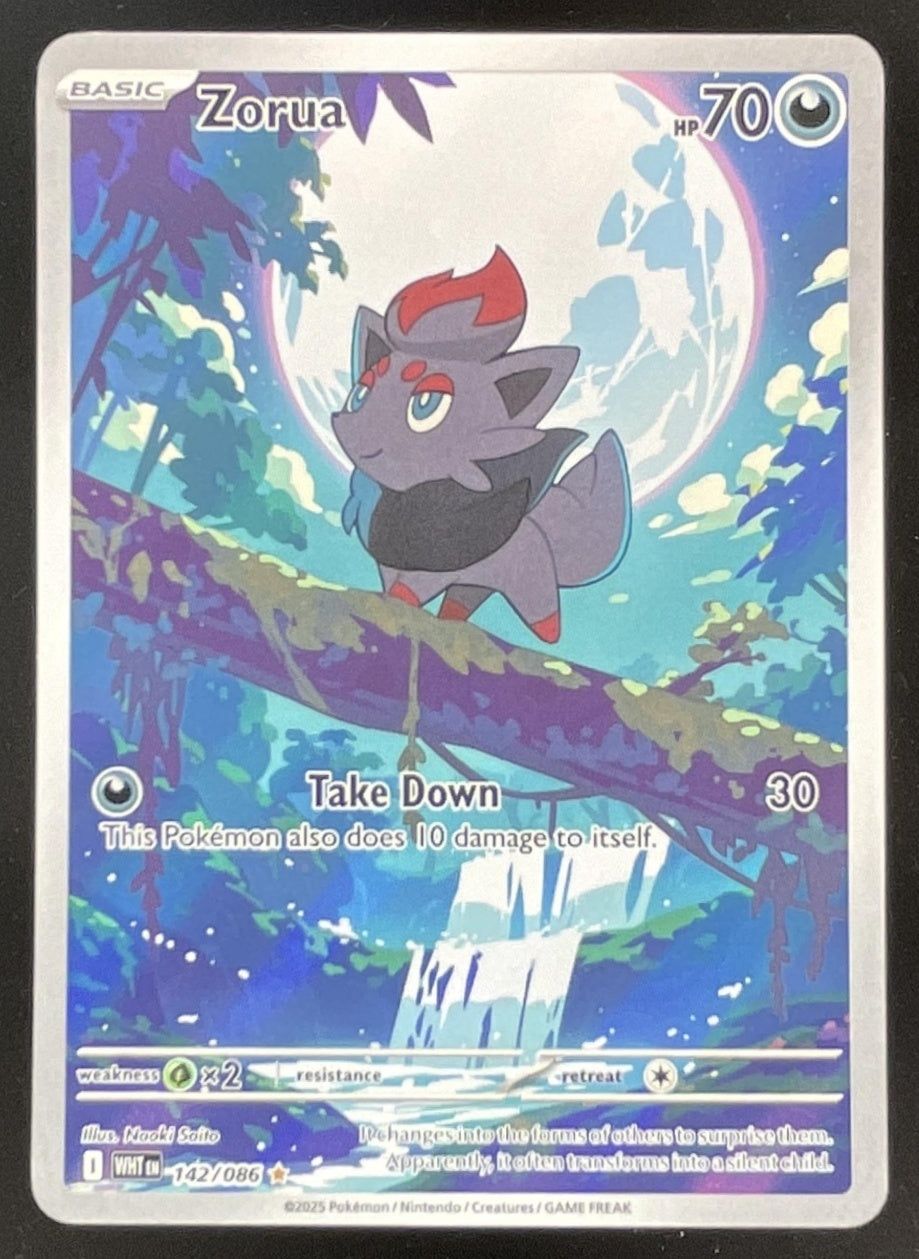 pokemon zorua card 2025 Pokemon White Flare #142/086 Zorua Illustration Rare – Burbank Cards