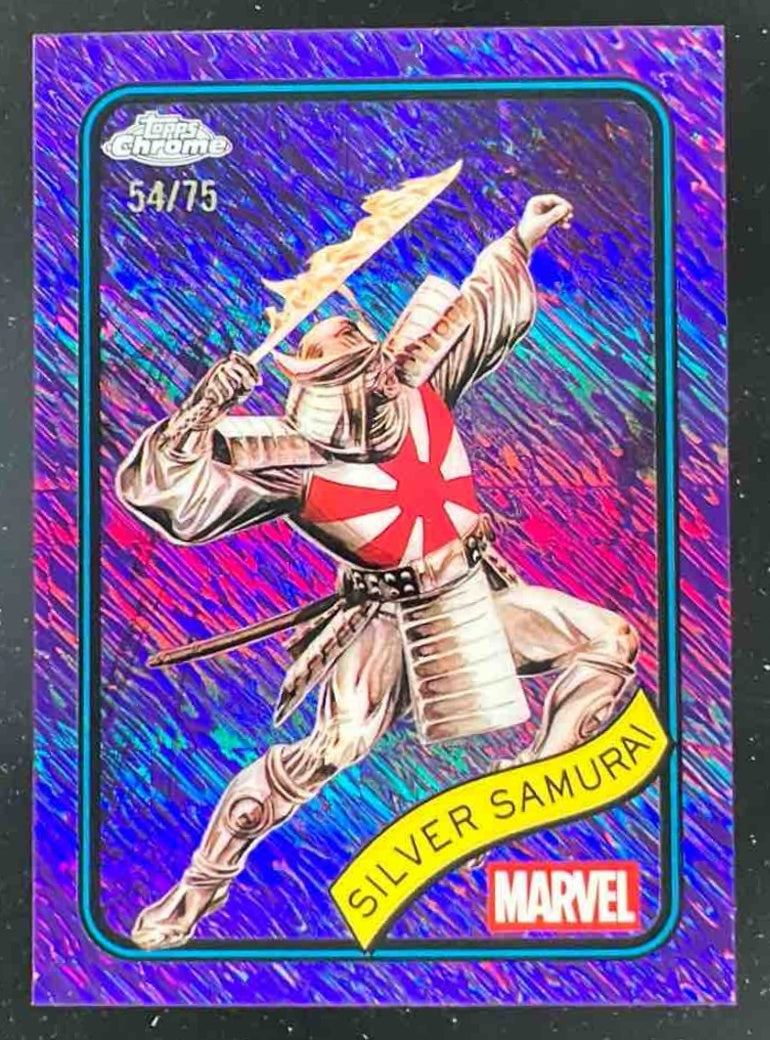 サンスベリア Lorentii silver (stopper) mutant rare サンスベリア Lorentii silver (stopper) mutant rare PSA 8 NM-MT