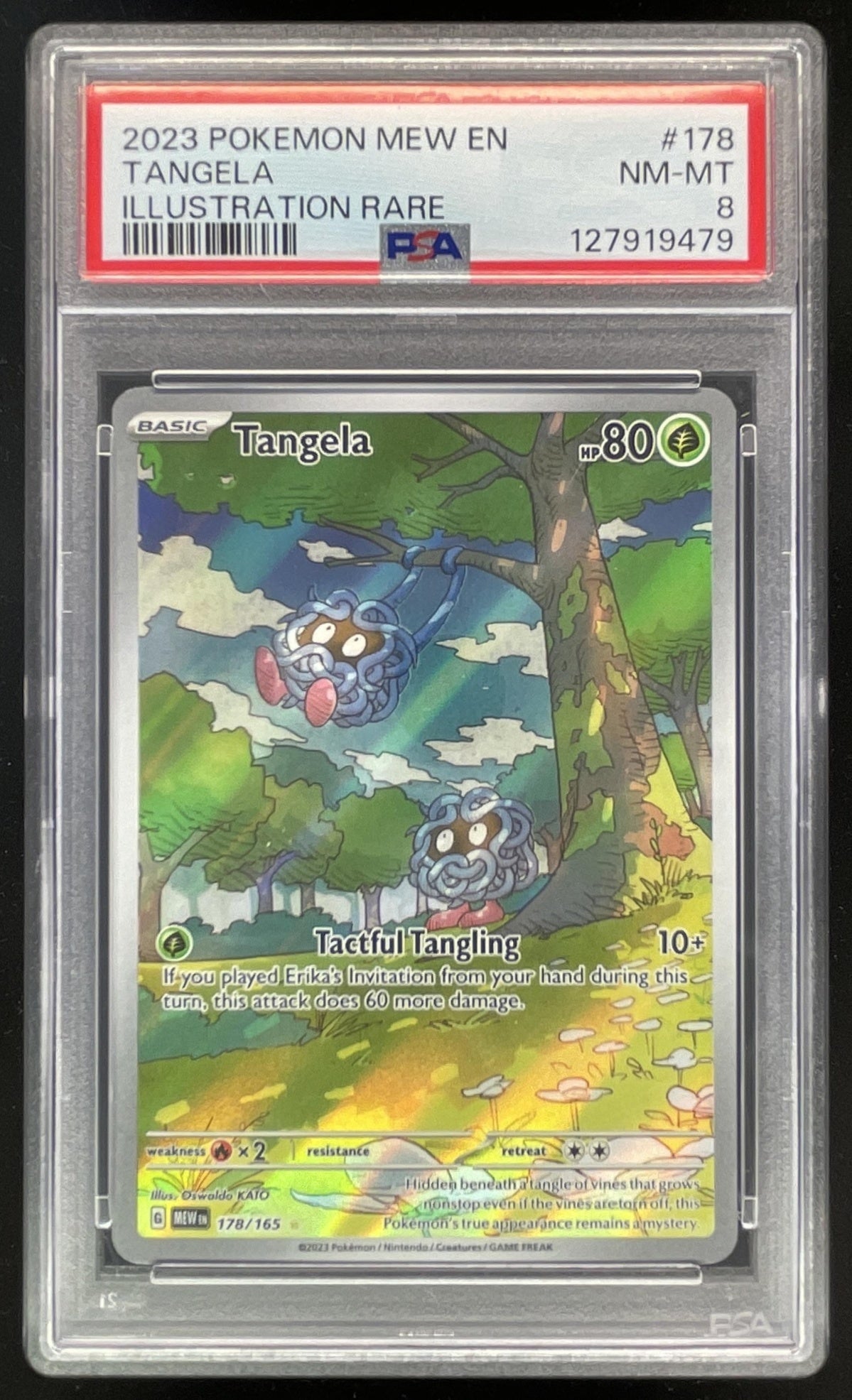 2023 Pokemon SV 151 #178/165 Tangela Illustration Rare PSA 8 Burbank Cards 2023 Pokemon SV 151 #178/165 Tangela Illustration Rare PSA 8 Burbank Cards