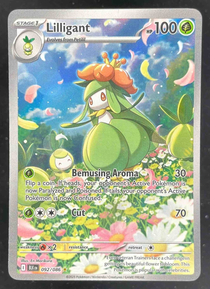 2025 Pokemon Black Bolt #092/086 Lilligant Illustration Rare – Burbank Cards