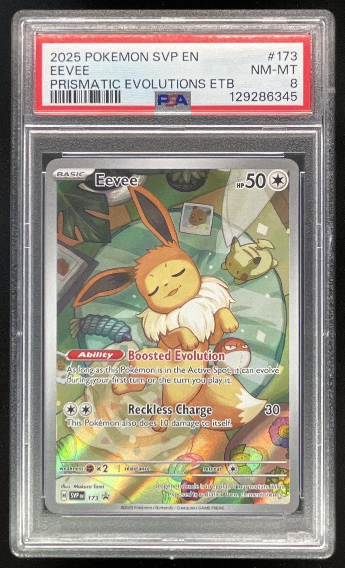 2025 Pokemon SV Black Star Promos Promos #173 Eevee PSA 8 Burbank Cards 2025 Pokemon SV Black Star Promos Promos #173 Eevee PSA 8 Burbank Cards