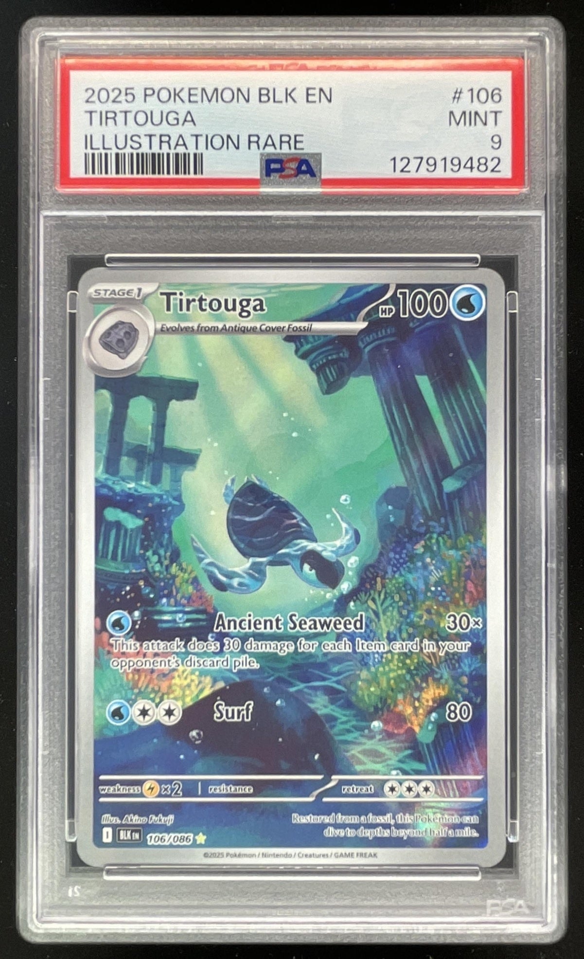pokemon tirtouga card 2025 Pokemon Black Bolt #106/086 Tirtouga Illustration Rare – Burbank Cards main image 0