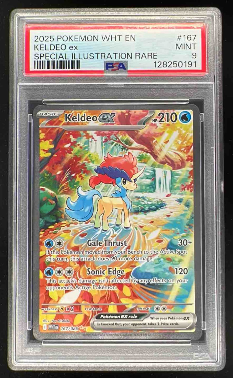 All TCG Singles – Burbank Cards