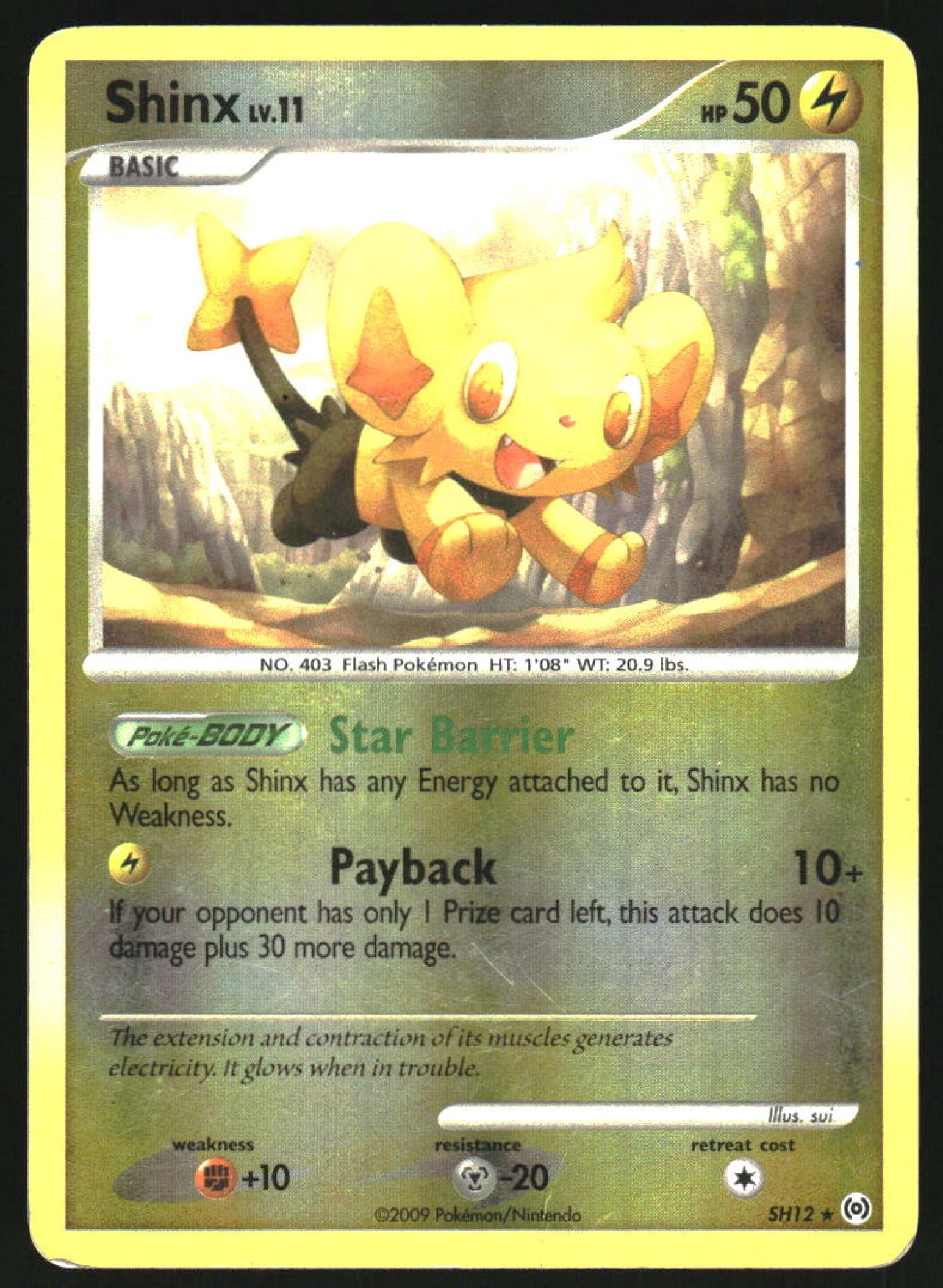 Shinx ポケモンカード 2009年版 コリンク SH12 英語 Shinx ポケモンカード 2009年版 コリンク SH12 英語 Shinx #SH12